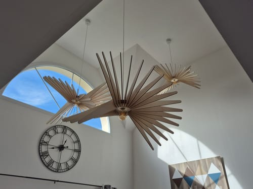 Customer photo review of Albatros | Suspension