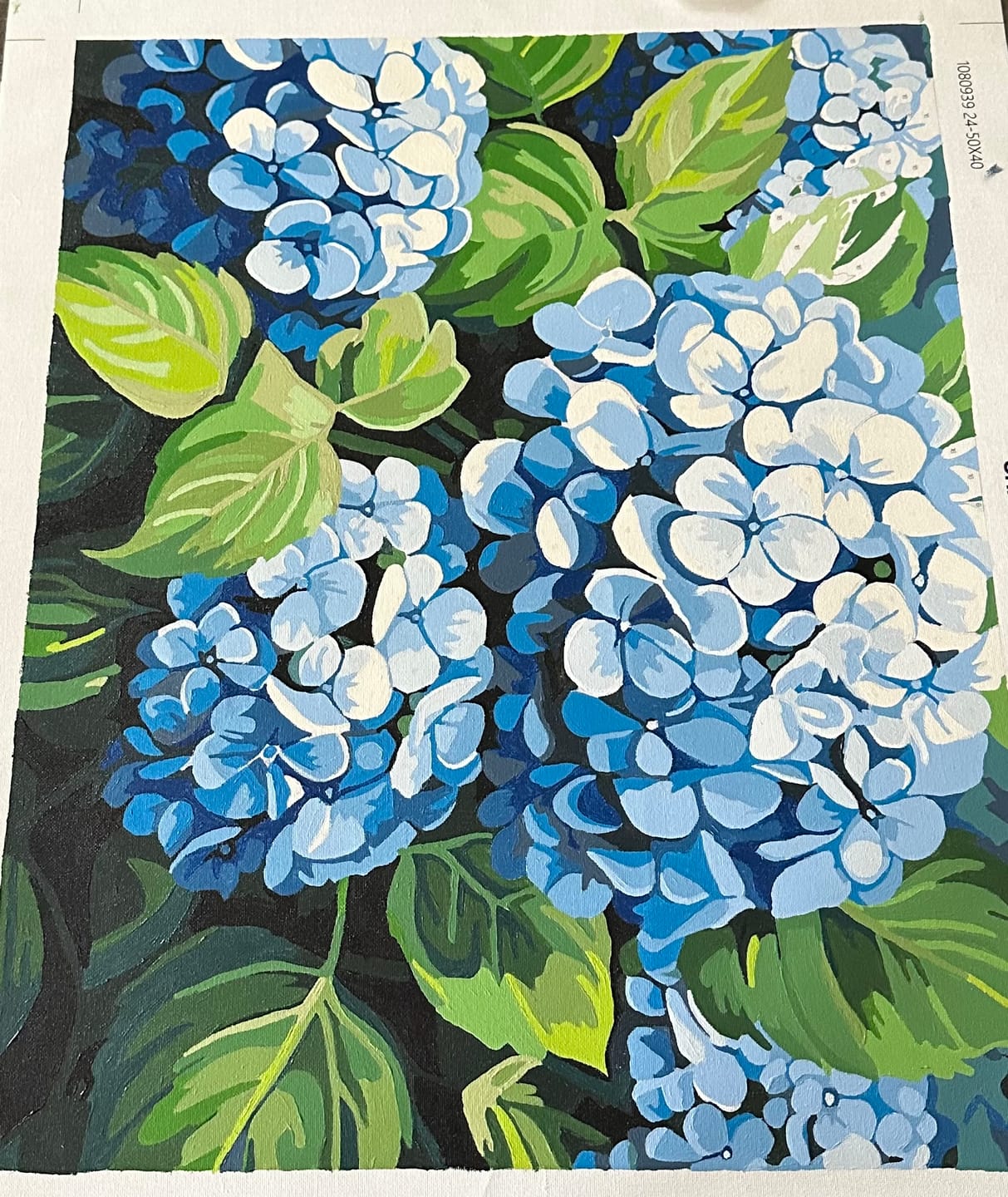 Customer photo review of Clustered Hydrangeas