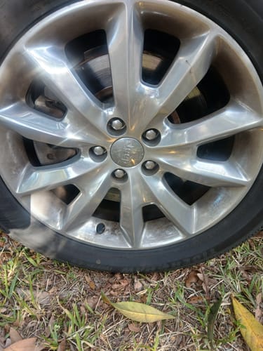 Customer photo review of Absolute Acid