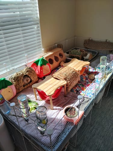 Customer photo review of White C&C Cage Grids