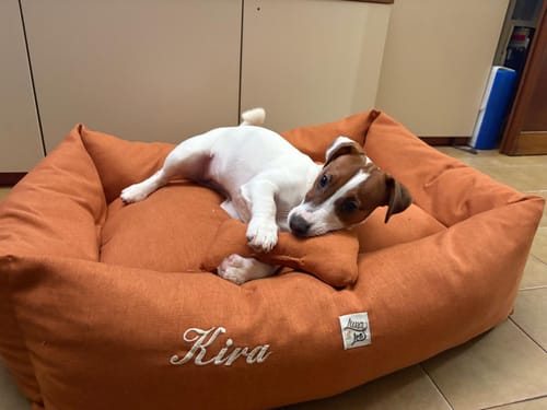 Customer photo review of Divanetto Mattias Caramello (Soft Touch)