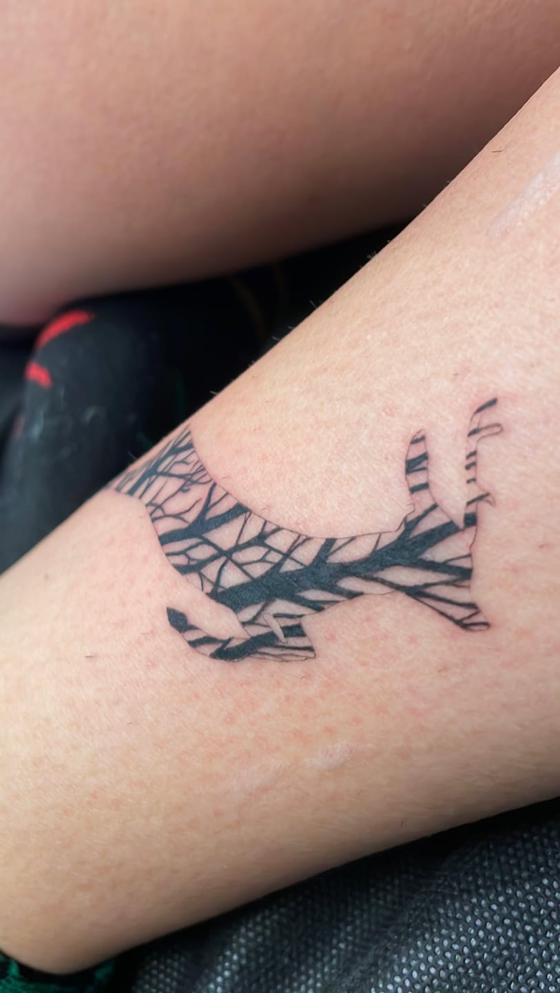 Customer photo review of JCONLY VETAR Tattoo Cartridge Needles Round Liner