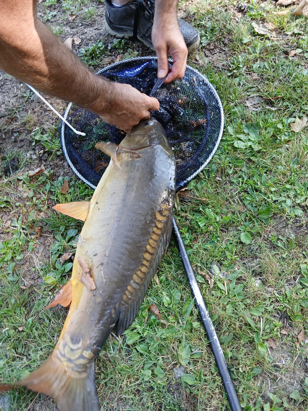 Customer photo review of SOFT HOOK PELLETS 100g