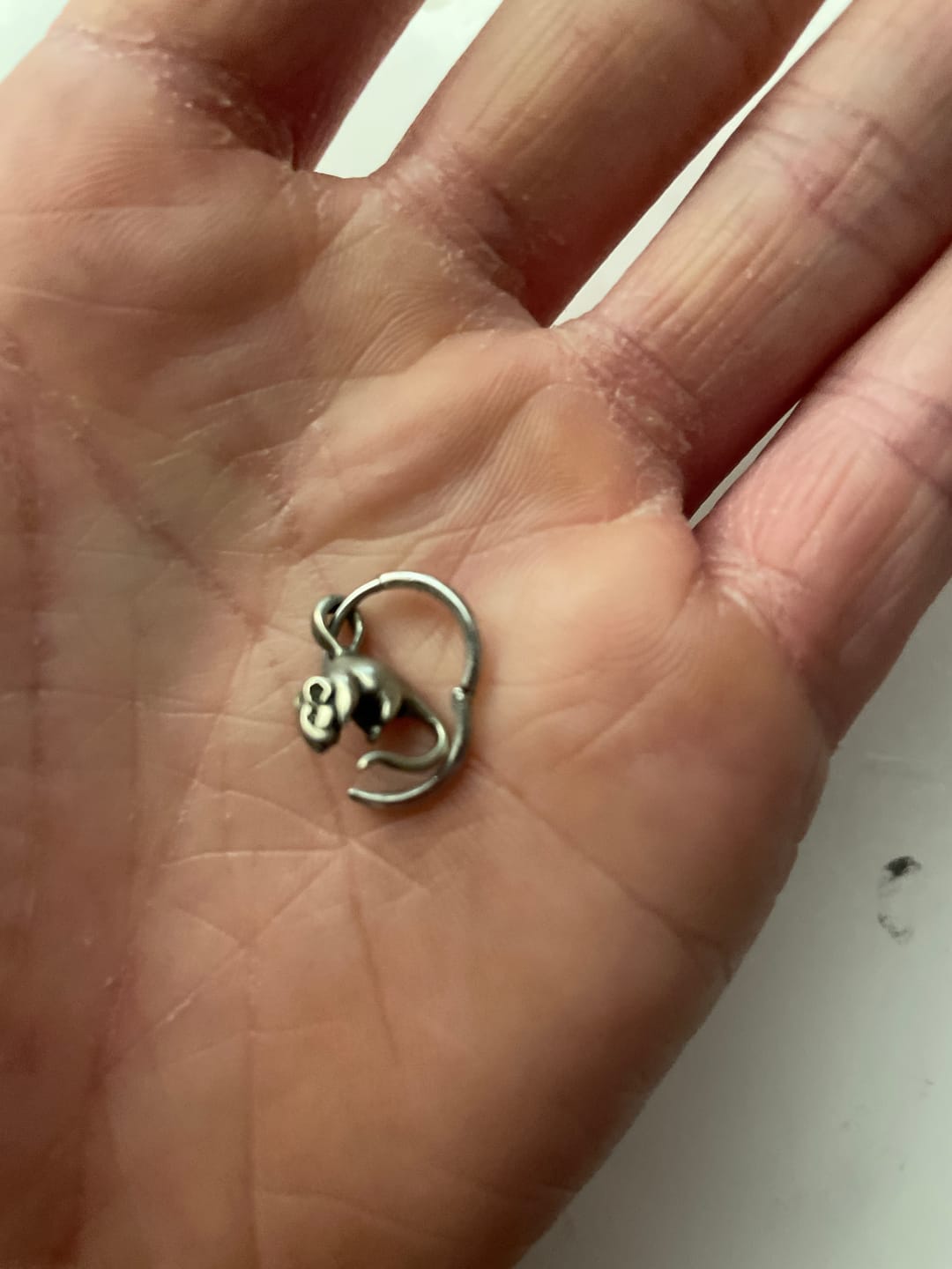 Customer photo review of Rat Hoop Earrings "Last Breath"