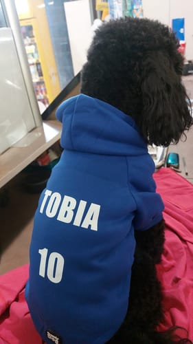 Customer photo review of Felpa "Trendy Dog" Blu Personalizzabile con Nome e Numero