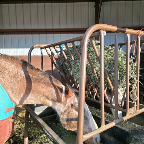 Customer photo review of Hay Chix® 2-Strand Bale Net (Small Bale Net)