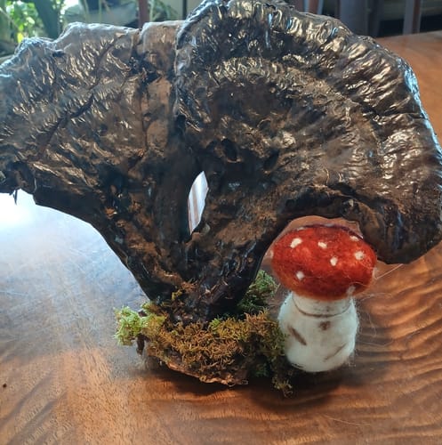 Customer photo review of Sophie Wheatley's Felted Fungi Supplies Box