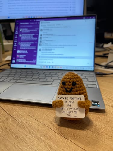 Customer photo review of PATATE POSITIVE