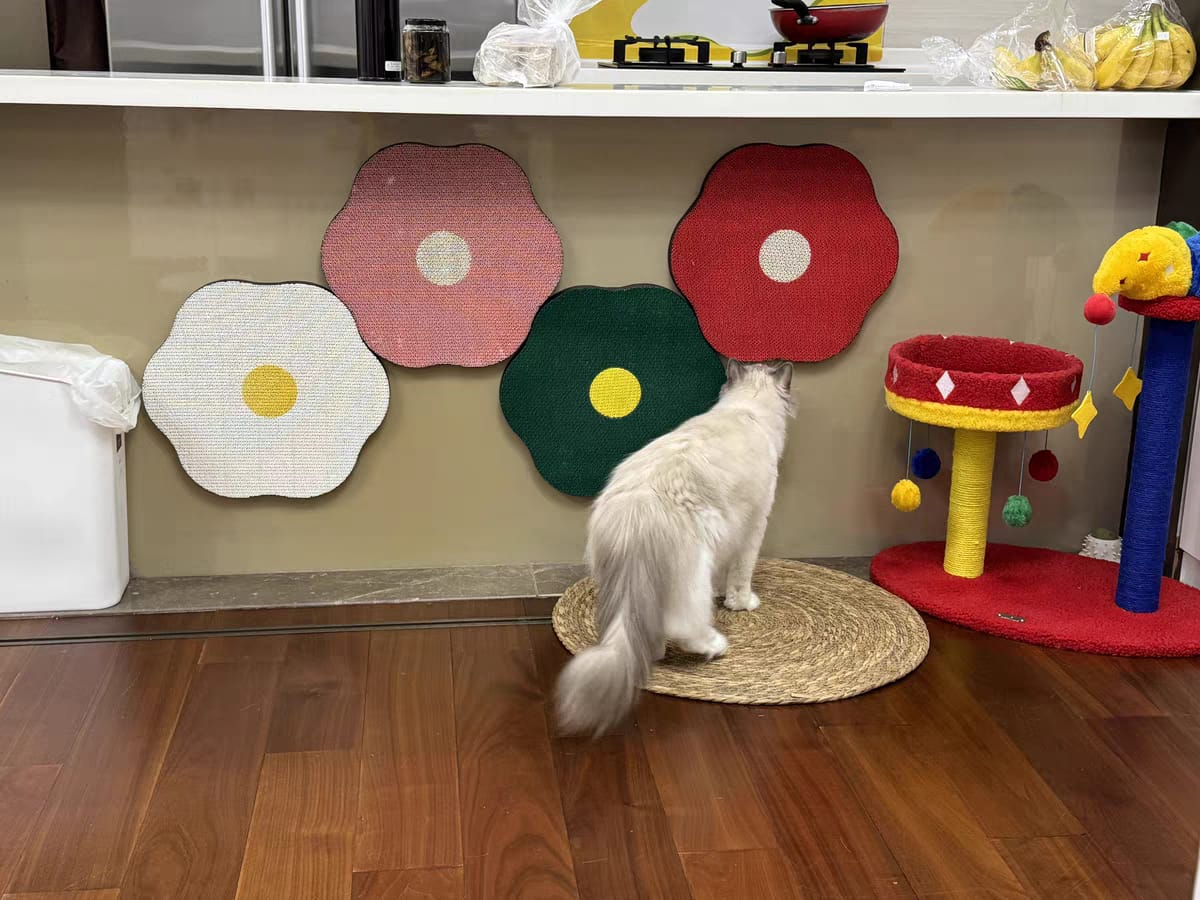 Customer photo review of Flower-Shaped, Connectable, Non-Shedding Plant Pulp Cat Scratching Pad