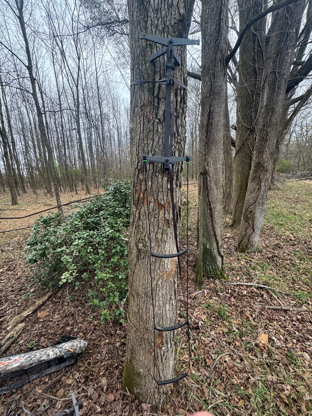 Customer photo review of COMPACT DOUBLE