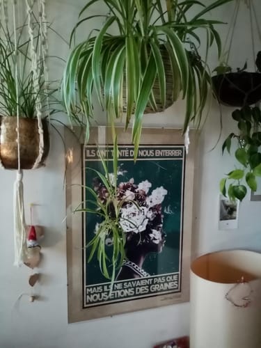 Customer photo review of Ils ont tenté de nous enterrer, mais ils ne savaient pas que nous étions des graines