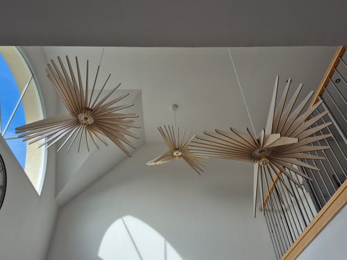 Customer photo review of Albatros | Suspension