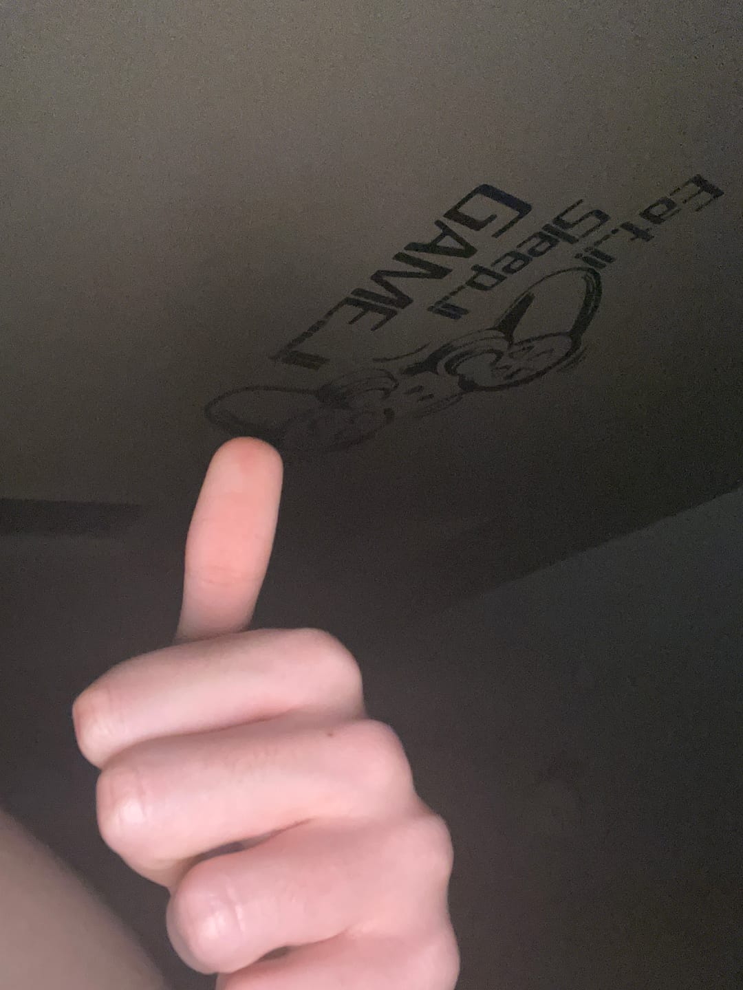 Customer photo review of Je t'aime - Rose éternelle sous cloche en verre avec lumière LED personnalisée avec noms et date anniversaire