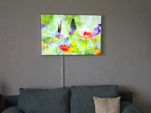 Customer photo review of Wechselmotiv | Blumenwiese mit Schmetterlingen | Querformat