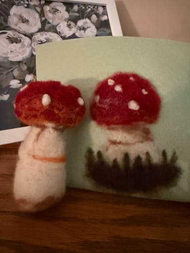 Customer photo review of Sophie Wheatley's Felted Fungi Supplies Box