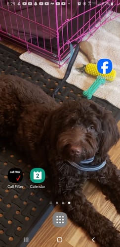 Customer photo review of furMe™️ Original Pet Grooming Vacuum Kit