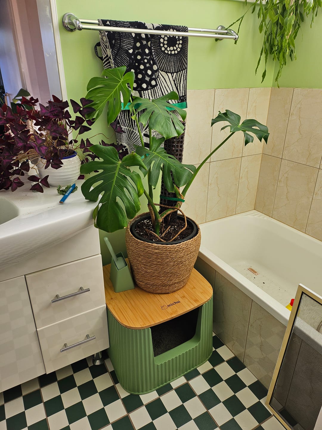 Customer photo review of Michu XXL Sage Deluxe Cat Litter Box - Spacious Design