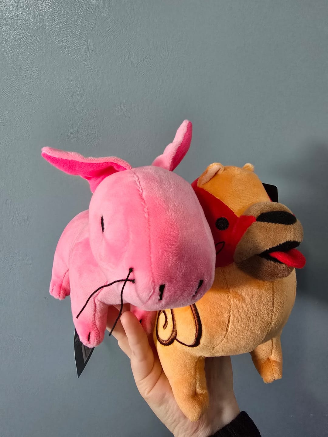 Customer photo review of Dragon Age - Mabari Plush