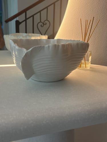 Customer photo review of White Irregular Wavy Ceramic Decor Bowl