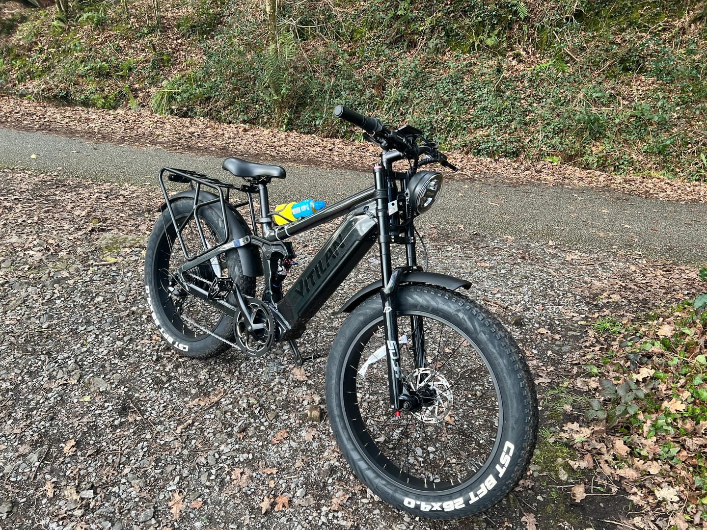 Customer photo review of T7 Full Suspension Mountain E-bike