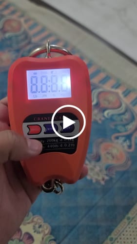 Customer video review of Lot Imported Mini Crane Scale M-8088