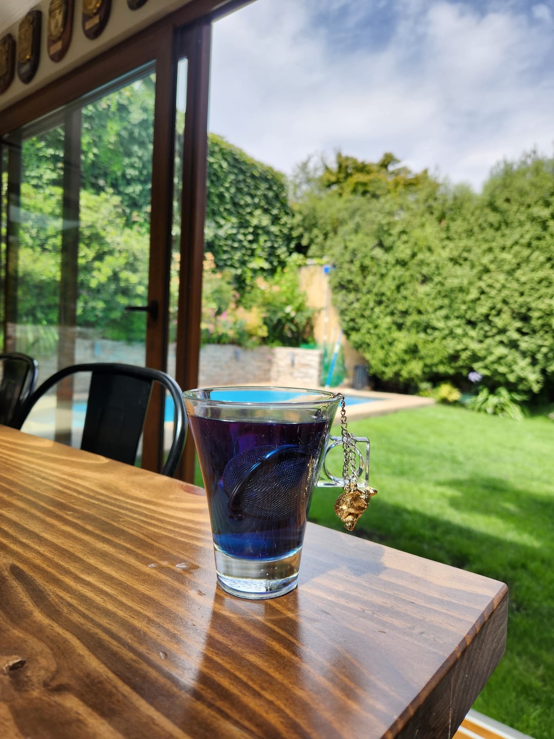 Customer photo review of Bella Luna - Té Azul