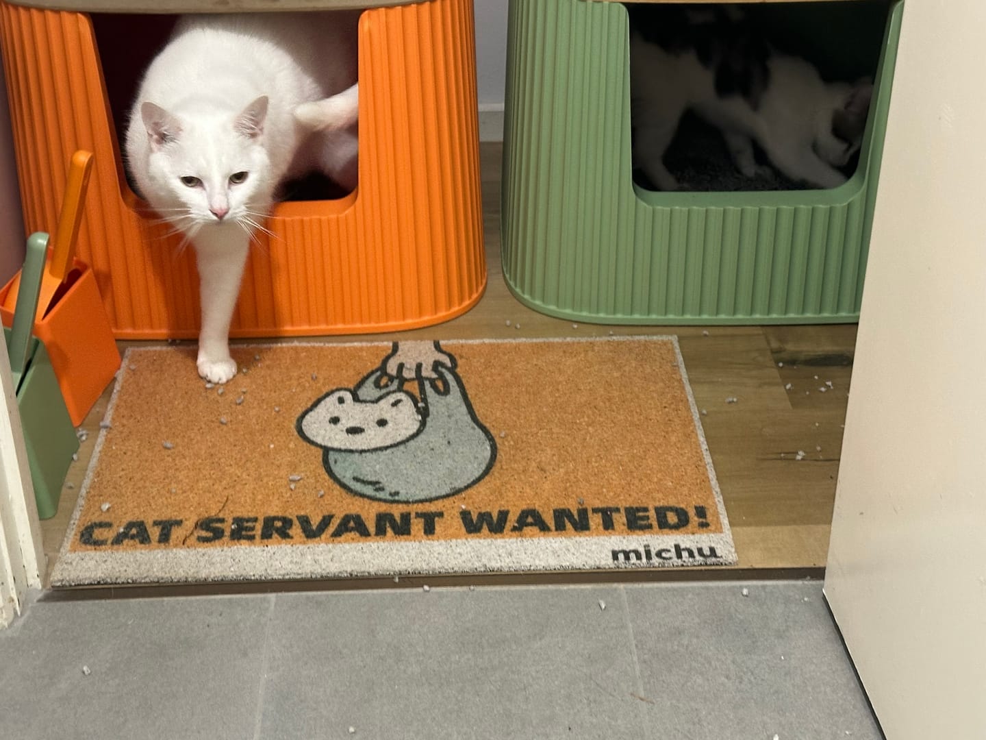 Customer photo review of Michu XXL Sage Deluxe Cat Litter Box - Spacious Design Pre Order
