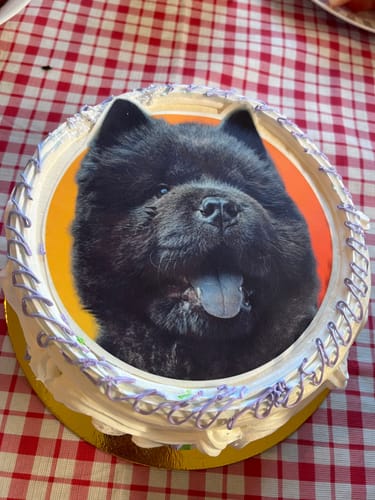 Customer photo review of 20 cm Pre-cut Circle Custom Edible Icing Image