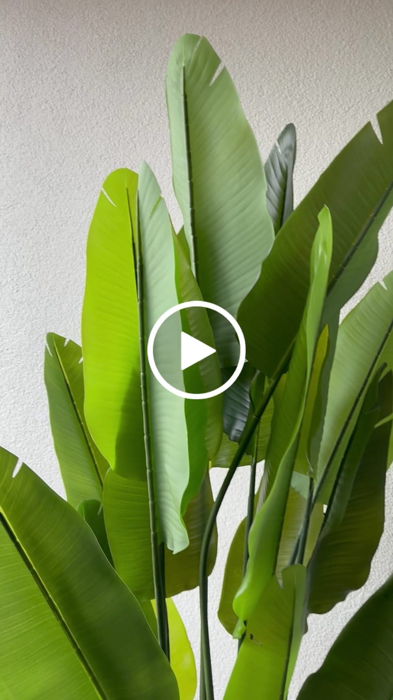 Customer video review of Strelitzie Kunstpflanze 180cm