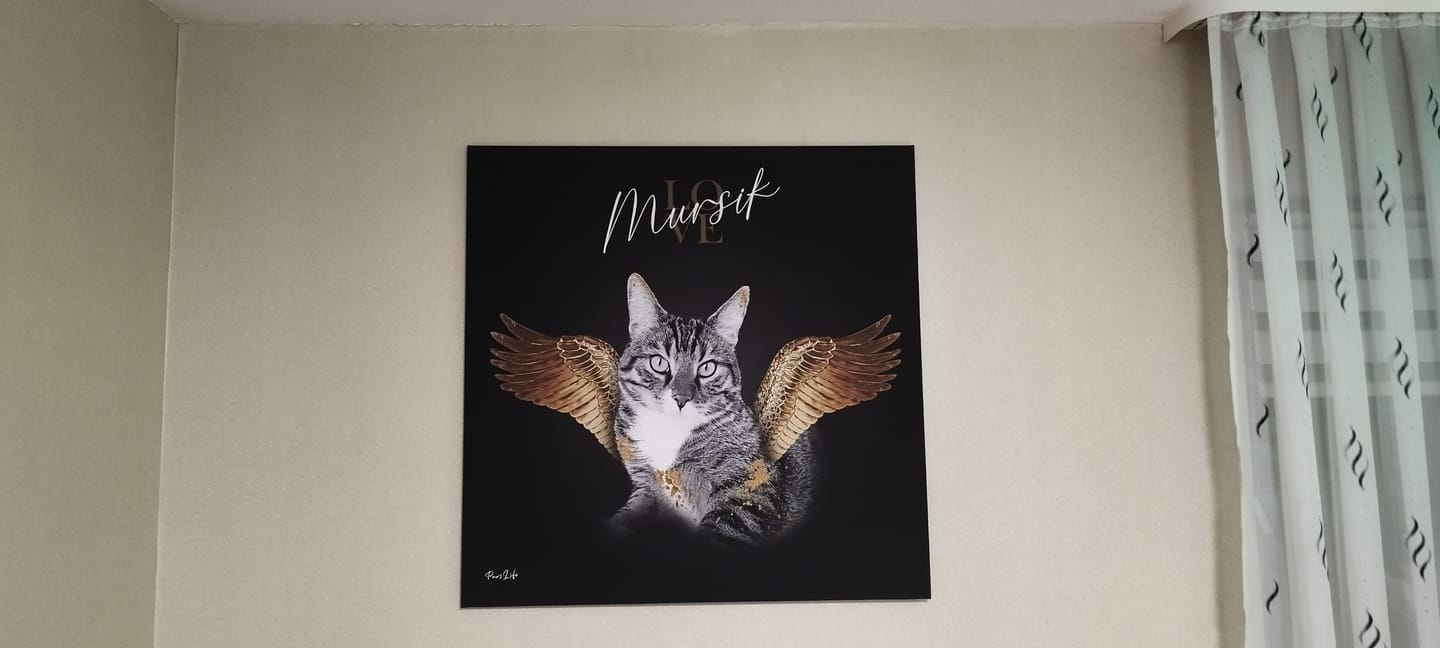 Customer photo review of Personalisiertes Portrait - Goldener Engel Stil