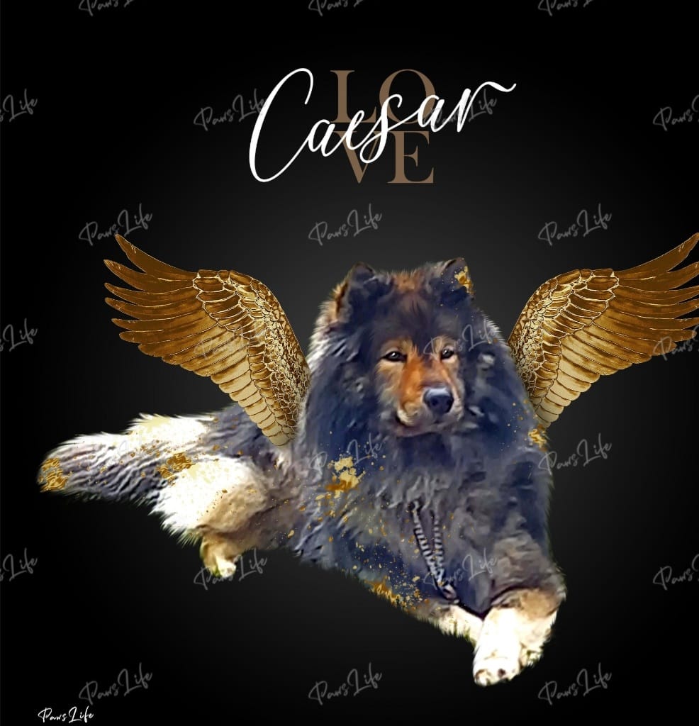 Customer photo review of Personalisiertes Portrait - Goldener Engel Stil