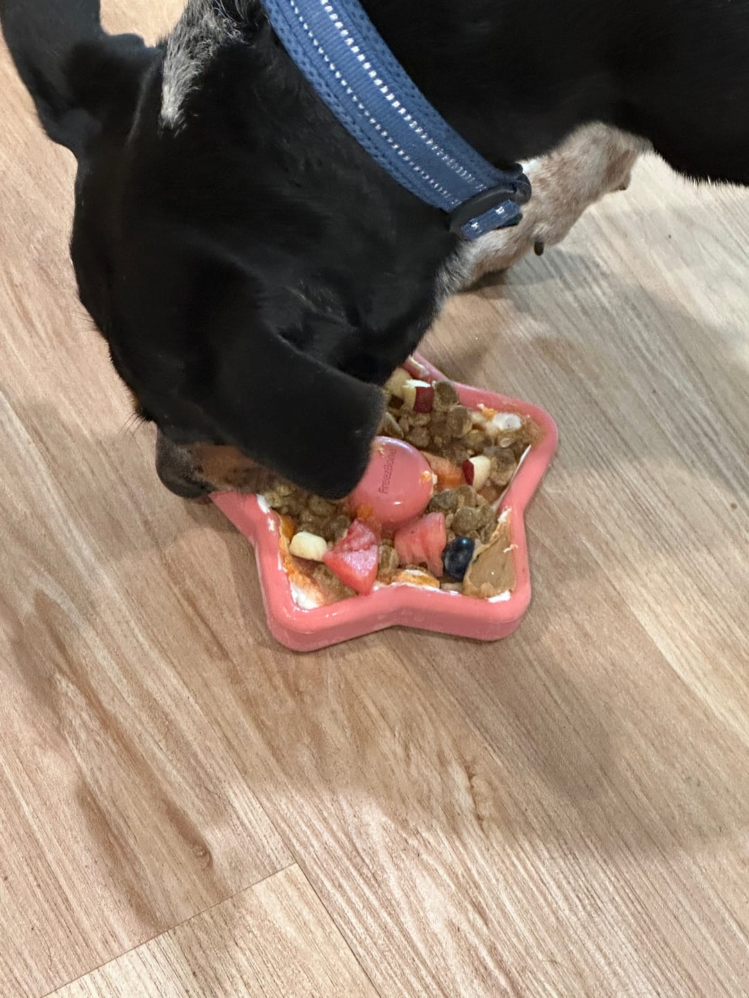 Customer photo review of Freezstick - Indestructible Enrichment Chew
