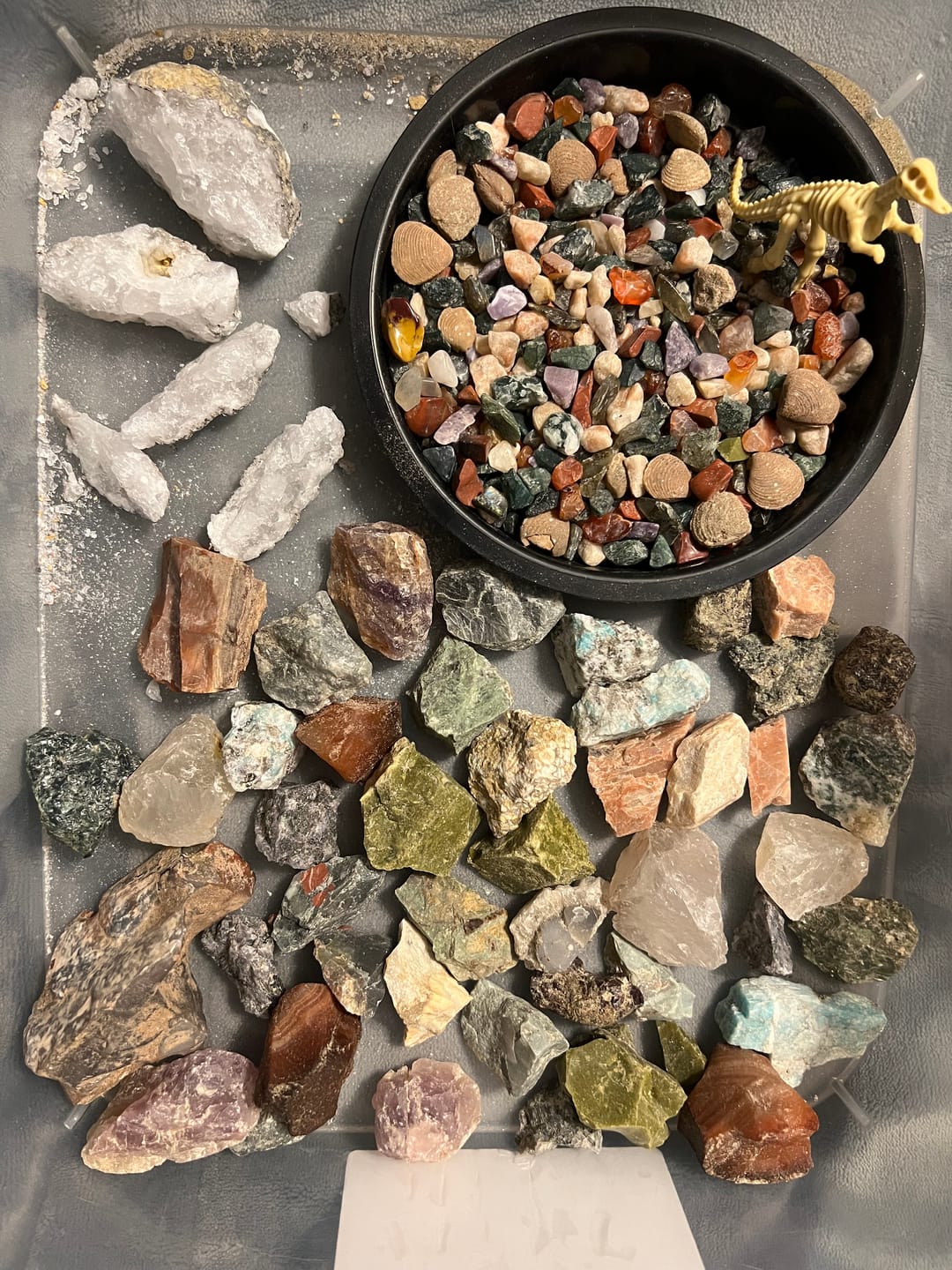 Customer photo review of Second Chance Bucket