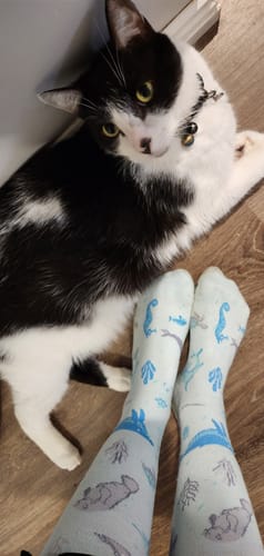 Customer photo review of Under the Sea Bamboo Compression Socks