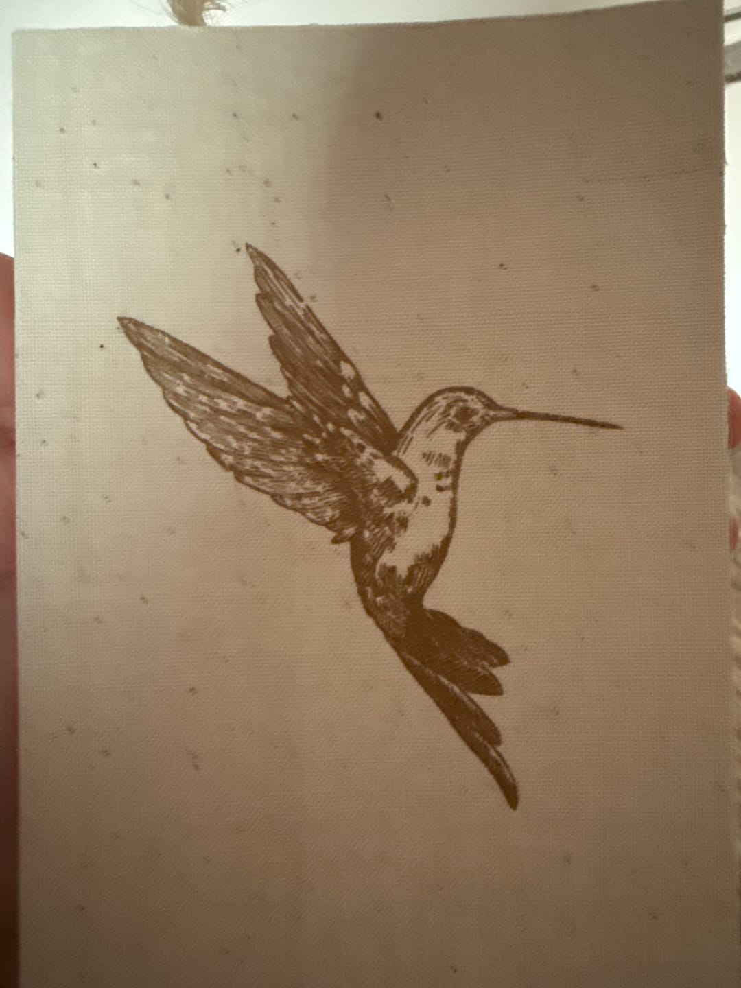 Customer photo review of Notebook Softbound - Humming Bird
