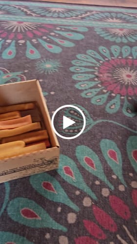 Customer video review of 5lbs Assorted Yak Chews One Size Fits All - regular, strawberry, coconut, flax seeds, honey and turmeric chews