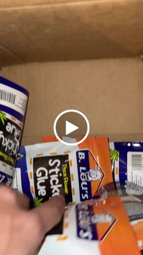 Customer video review of THCa Greenhouse Smalls