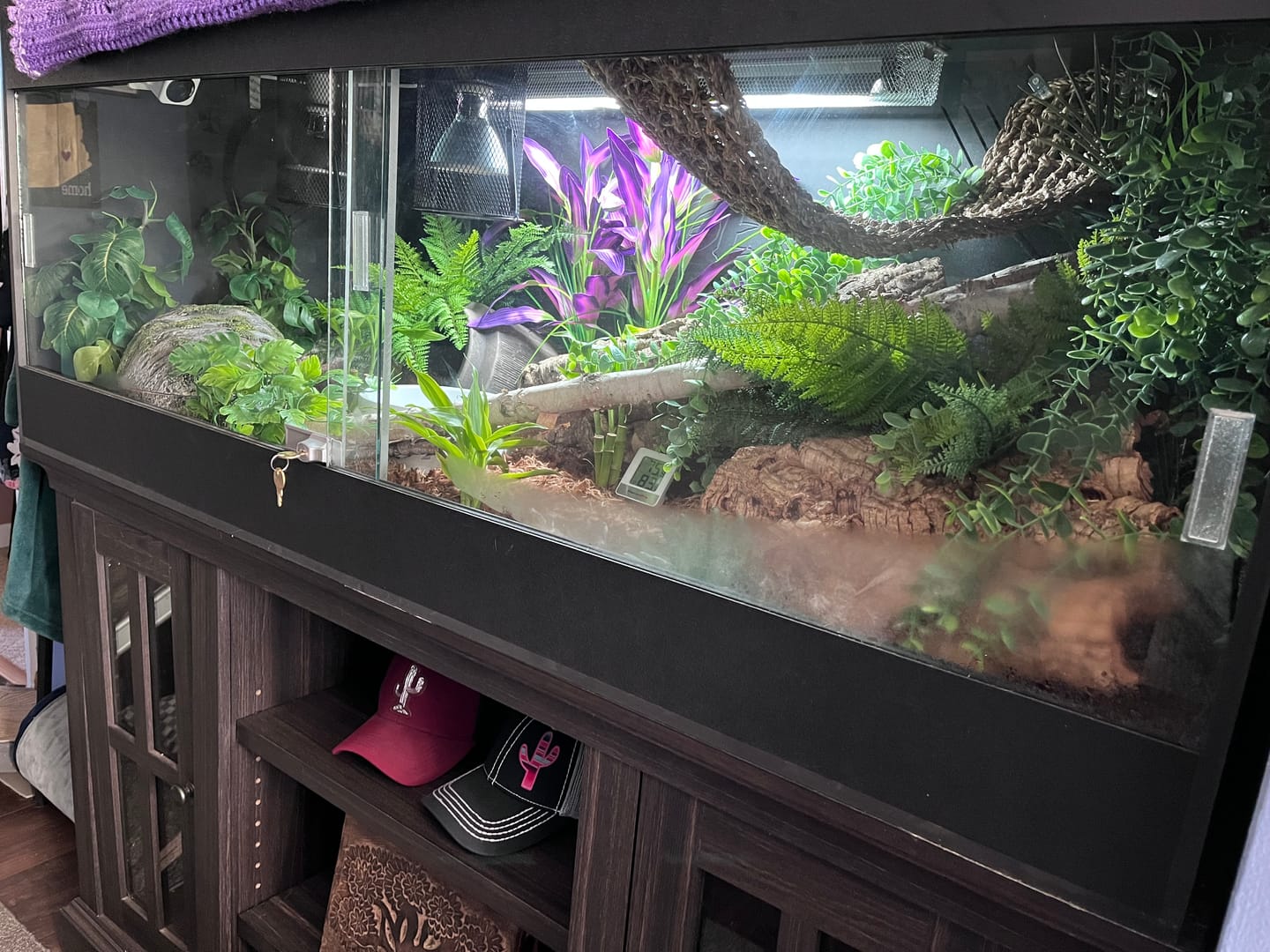 Customer photo review of 60"x24"x24" / 5'x2'x2' Premium PVC Reptile Enclosure