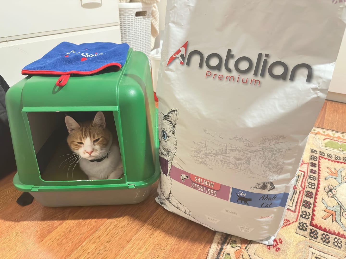 Customer photo review of Somonlu Kısırlaştırılmış Kedi Maması
