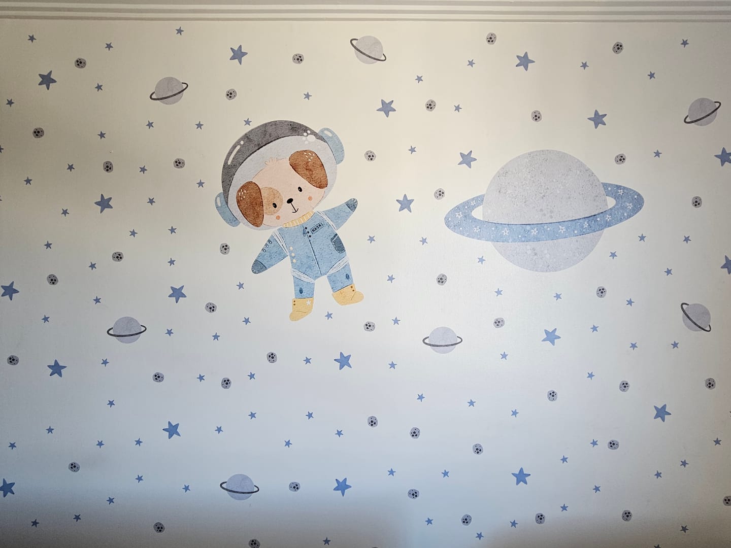 Customer photo review of Perrito astronauta