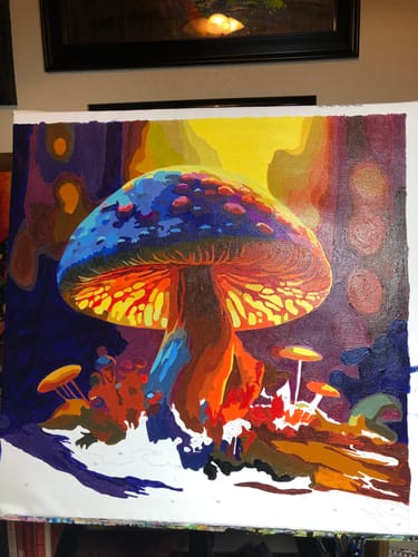 Customer photo review of Paint by Numbers - Glow in the dark mushroom