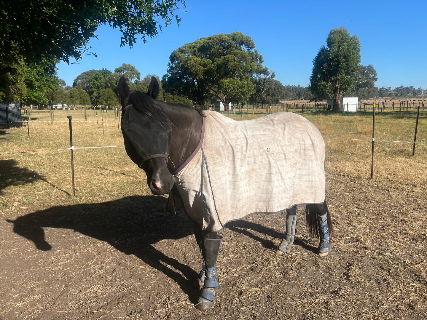 Customer photo review of LE Defender Fly Boots