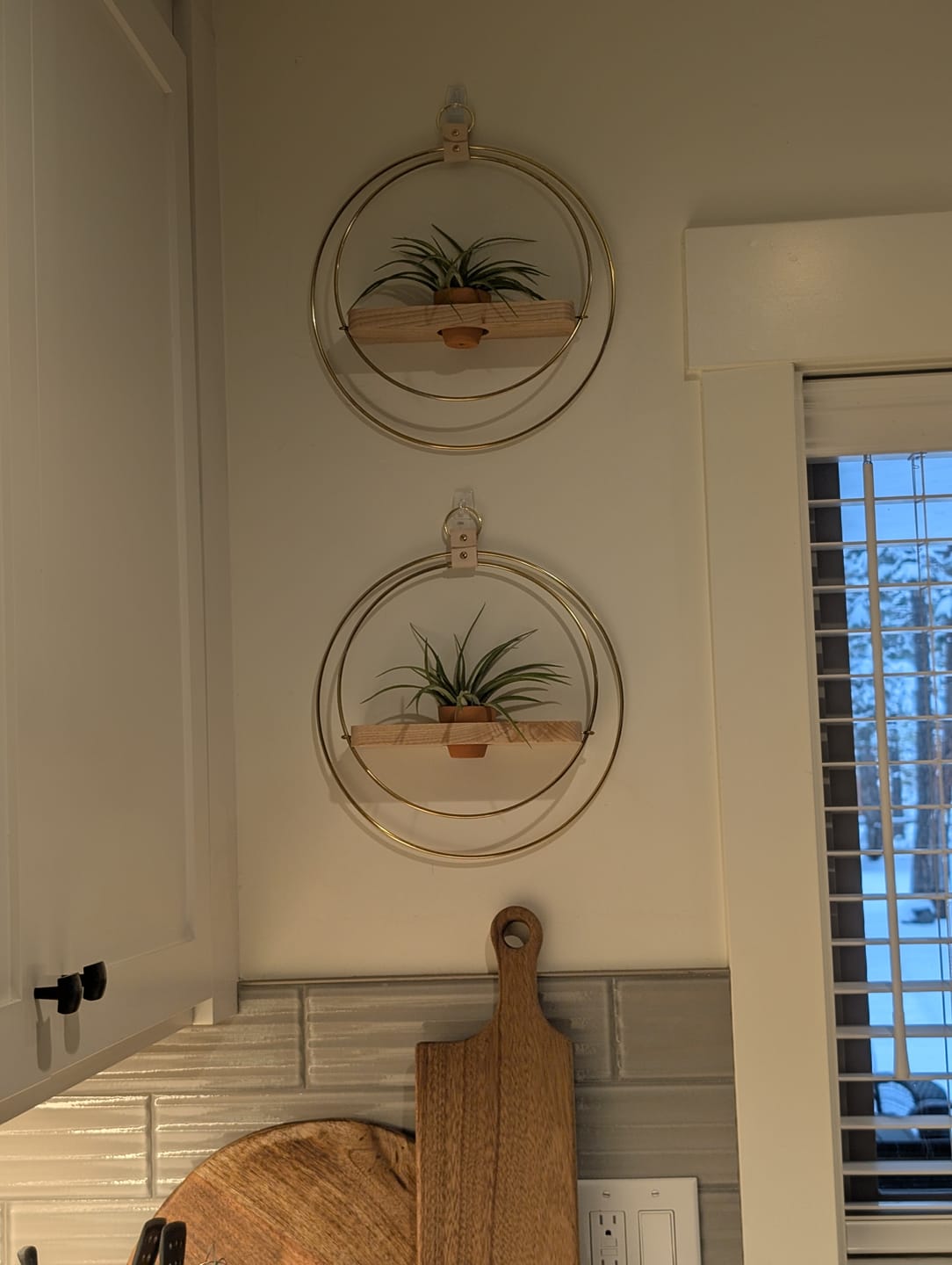 Customer photo review of Air Plant Shelf + Pot Duo