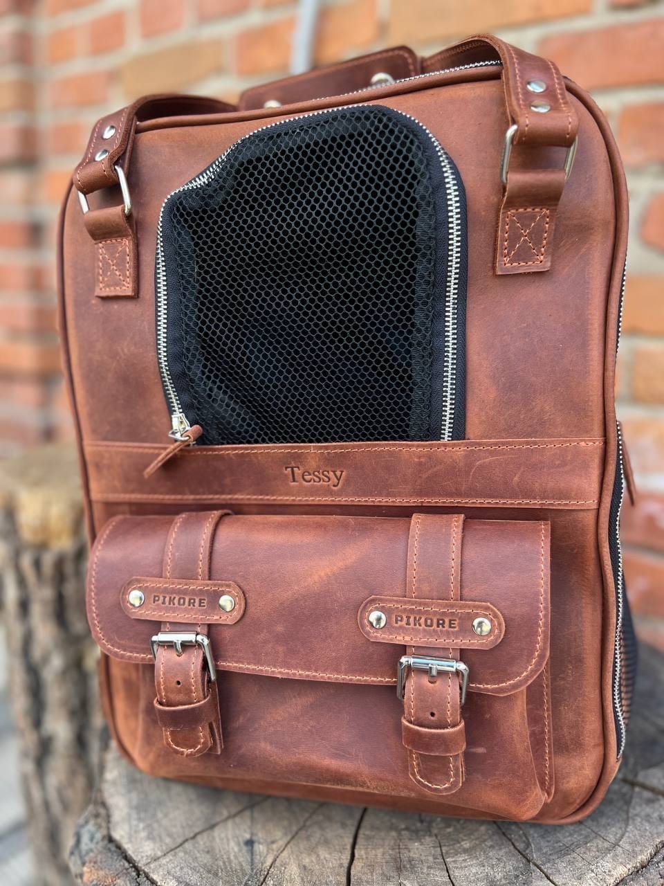 Customer photo review of Leather Pet Backpack