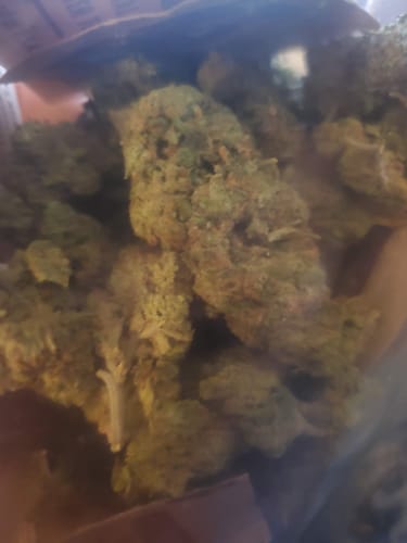 Customer photo review of Gold Spectrum THCA Flower - Top Quality Strain of the Month