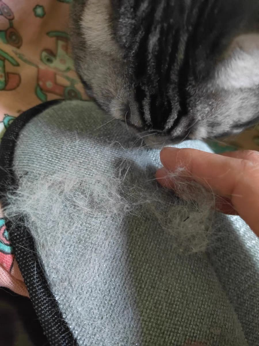 Customer photo review of Extra-Large Static Pet Hair Removal Glove