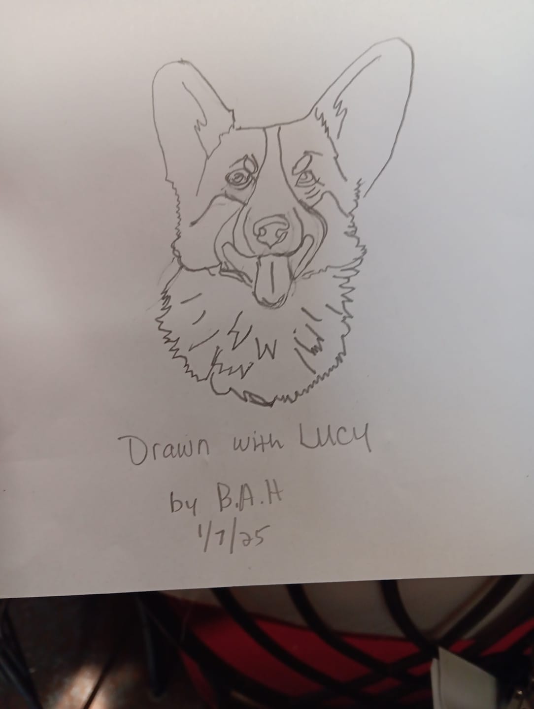 Customer photo review of LUCY flex