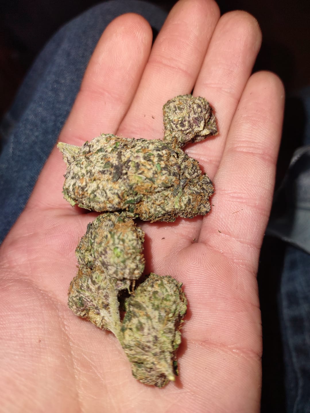 Customer photo review of Sour Diesel - THCa Flower