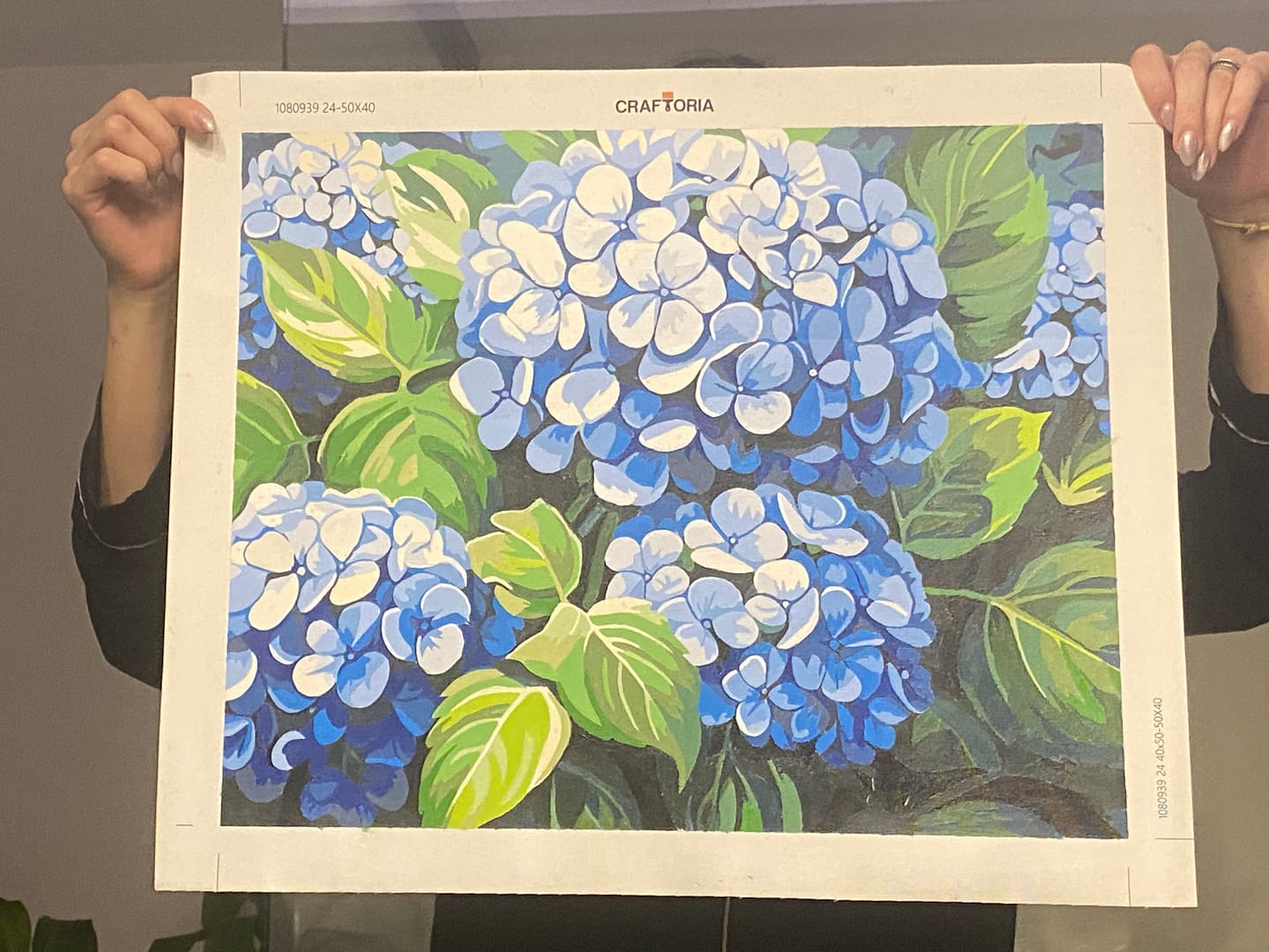 Customer photo review of Clustered Hydrangeas