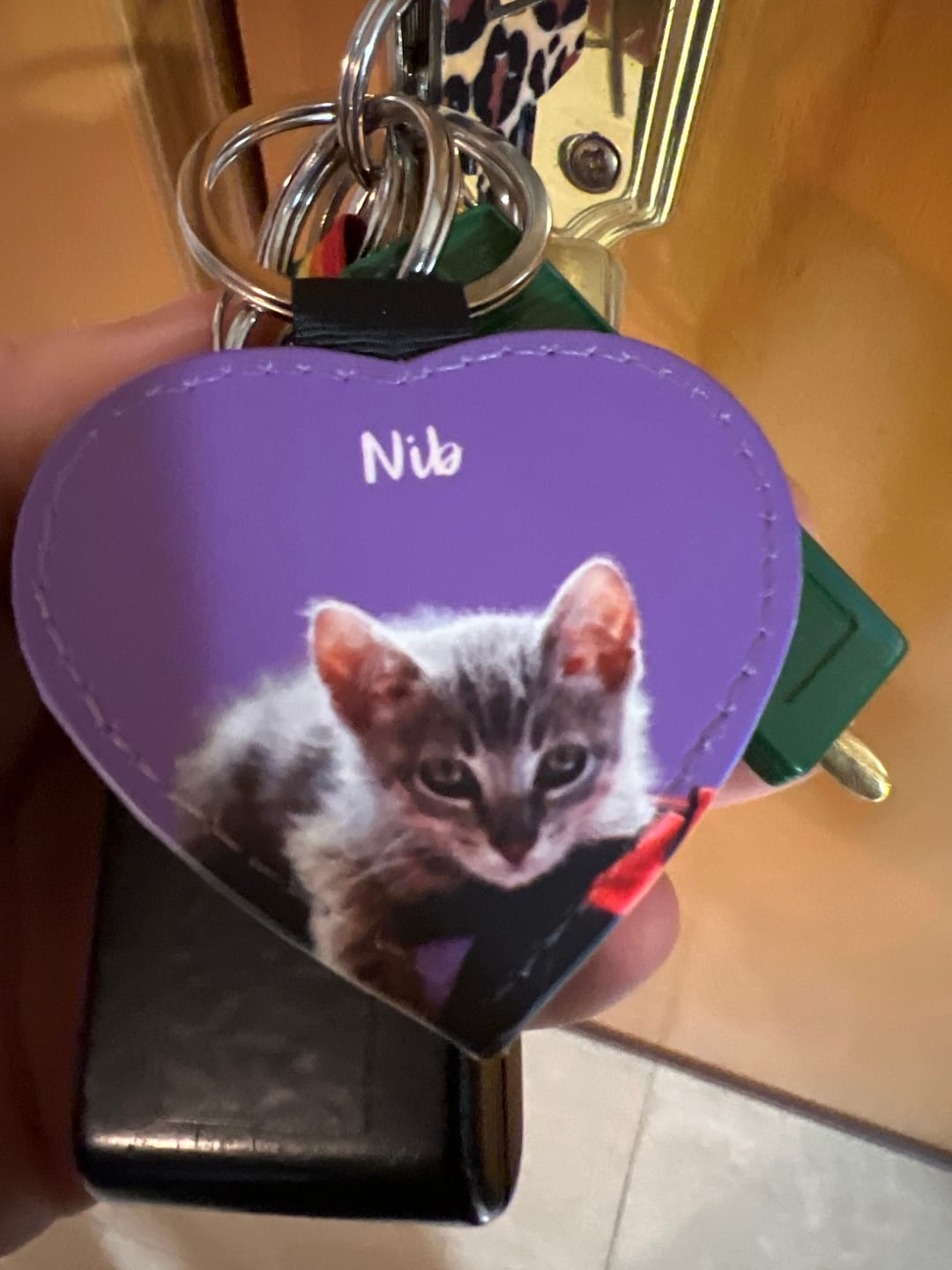 Customer photo review of Portaretrato animal - Llavero personalizado